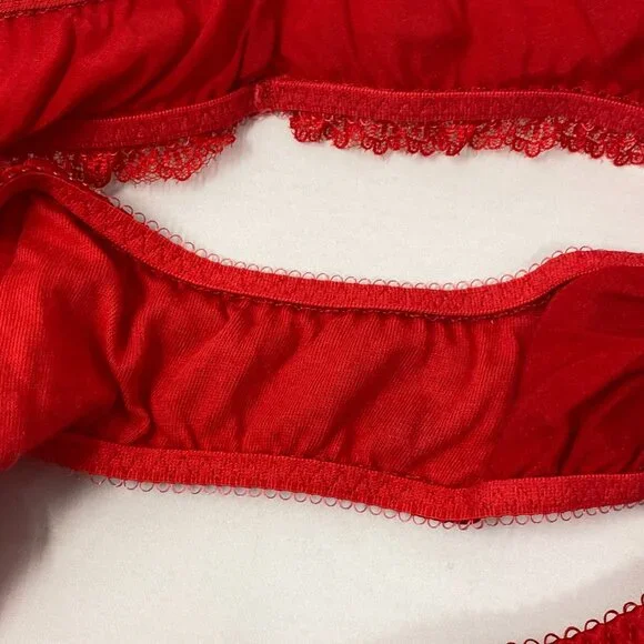 Agent Provocateur Felinda Red Silk Brief AP4 Large - Picture 11 of 11